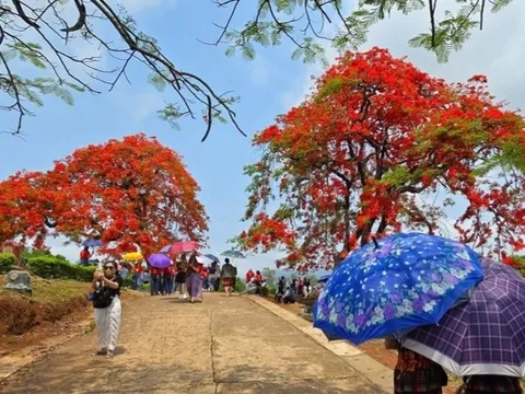 Điểm du lịch được tìm kiếm nhiều nhất Việt Nam