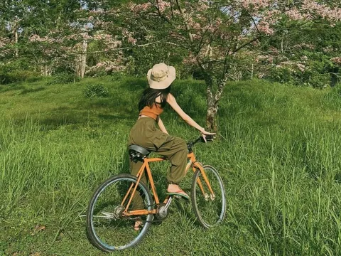 Hè này đi Đồng Nai 'chữa lành', cắm trại bên hồ Trị An