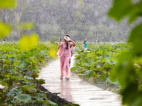 'Nàng thơ' bỏ chạy vì mưa lớn ở Hang Múa