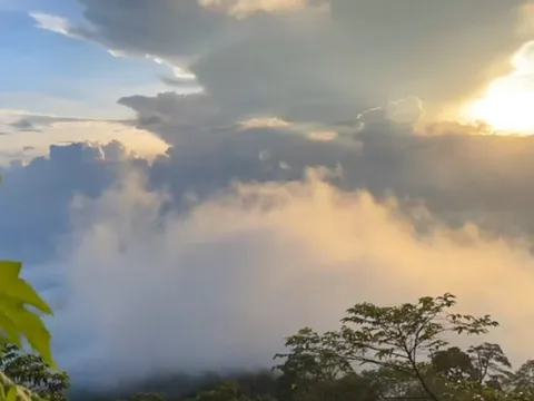 Dậy từ 3h sáng ngắm biển mây 'mát lạnh như Đà Lạt' gần Hà Nội