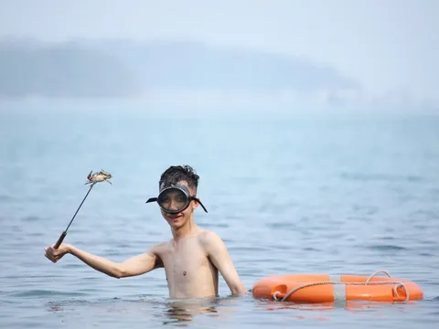 Mất việc vì mắc kẹt trên đảo Nam Du