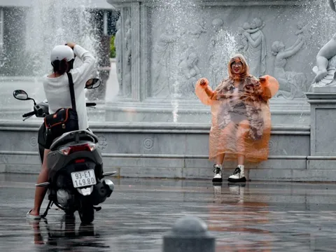 Ngán hải sản, tốn chi phí vì mắc kẹt tại Lý Sơn, Phú Quốc