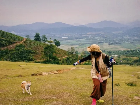 Chú chó trekking 7 đỉnh núi cao Việt Nam