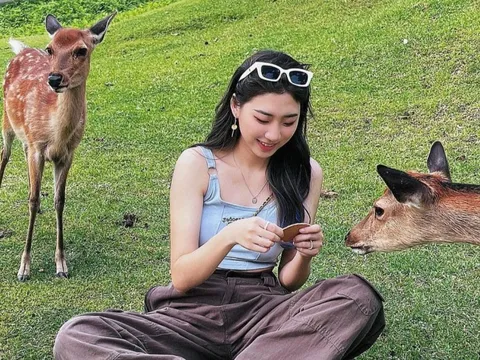 Hươu hưởng lợi khi Nhật Bản quá tải du lịch