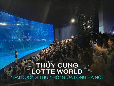 Thủy cung Lotte World - 'đại dương thu nhỏ' giữa lòng Hà Nội