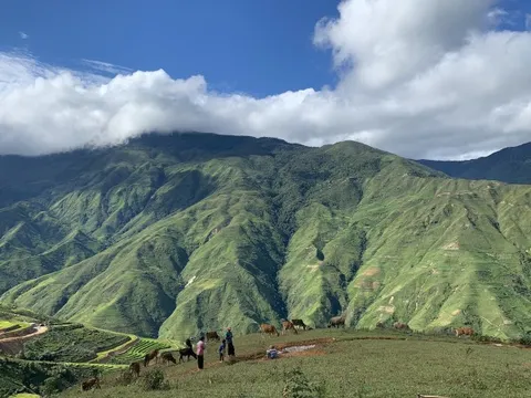 Lưu ý du lịch Tà Xùa an toàn