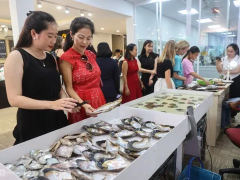 Du khách trải nghiệm thu hoạch ngọc trai ở TP HCM