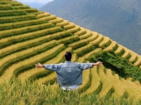 Báo Ấn Độ gợi ý 8 điểm 'phải đến' tại Việt Nam