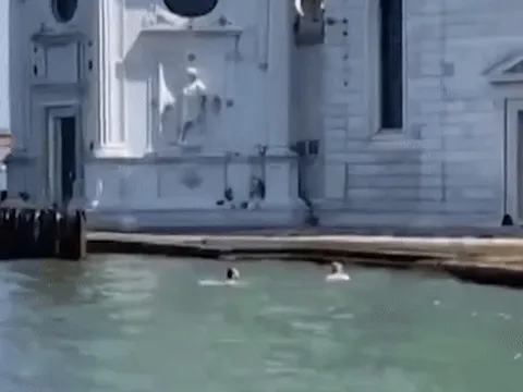 Người Italy phẫn nộ nhìn 2 du khách tắm tại nghĩa trang