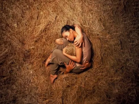 Chờ cảnh múa đẹp nao lòng giữa cánh đồng lúa chín ở Hội An