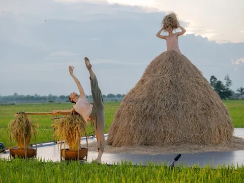Vở diễn đẹp như mơ giữa đồng lúa chín ở Hội An