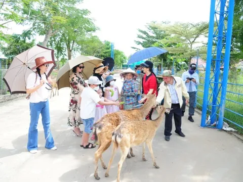 Vui chơi lễ 2/9 cùng gia đình tại Mỹ Quỳnh Safari