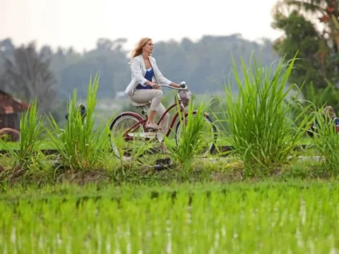 Thất bại vì bỏ việc để đi du lịch chữa lành