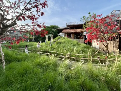 Quán cà phê như vườn địa đàng hút khách tại TP HCM