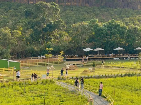 Nông trại chó cưng hút khách ở Đà Lạt