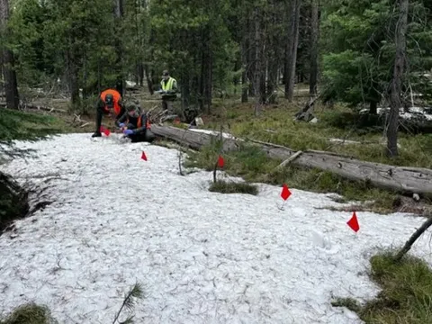 Ám ảnh của nam du khách bị gấu tấn công