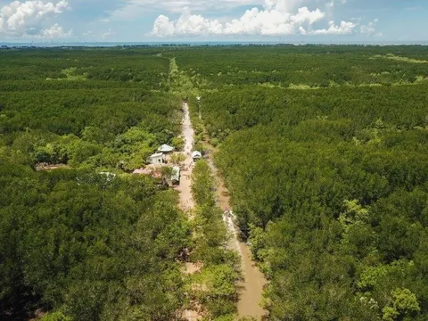 Một ngày ăn chơi tại Cần Giờ