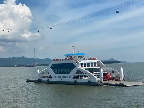 Hải Phòng đình chỉ du lịch, cấm chở khách ra đảo Cát Bà