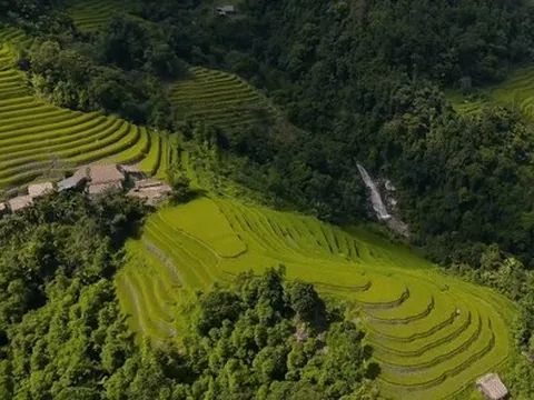 Mùa lúa vẹn nguyên sau bão, Hà Giang mời khách trở lại