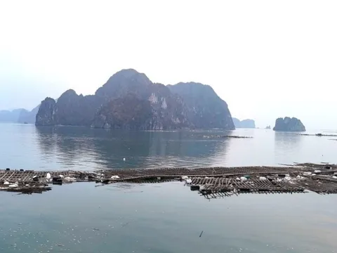 Xử lý 'núi' rác khổng lồ trên vịnh Hạ Long