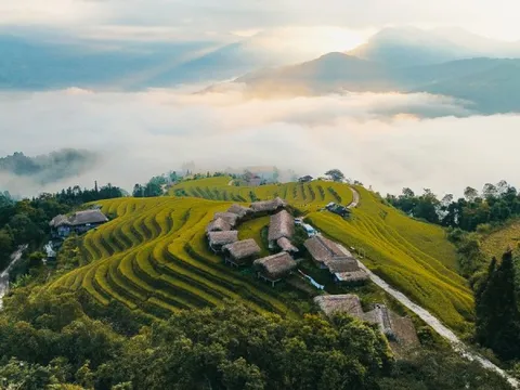 Mùa vàng Hoàng Su Phì trong mắt gen Z miền Nam