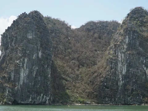 Thảm thực vật trên vịnh Hạ Long trơ trụi sau bão Yagi