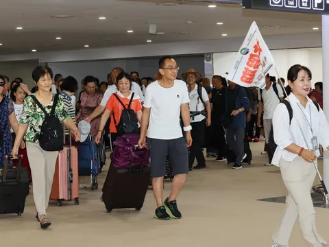 Đóng giả du khách, điều tra tour ép khách Việt mua sắm ở Seoul