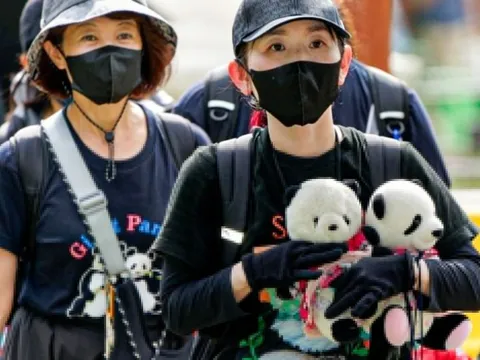 Hơn 12.000 người quay xổ số, giành vé chia tay gấu trúc ở Nhật Bản