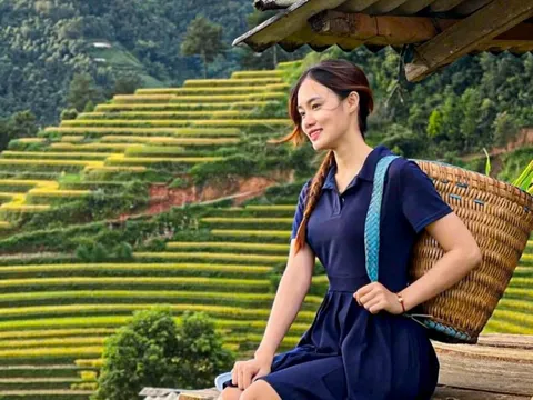 Sau lũ, Mù Cang Chải rực rỡ mùa lúa chín