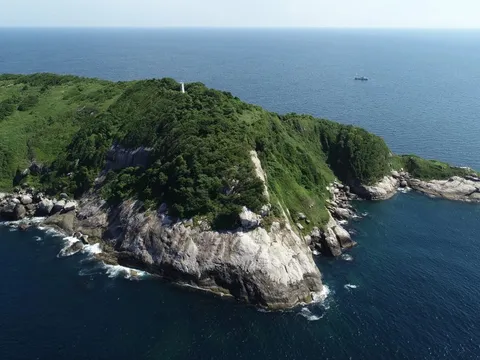Hòn đảo mỗi m2 có 1 con rắn ở Brazil