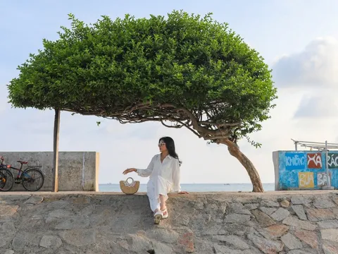 Cảnh ngặt nghèo của Côn Đảo, Phú Quý