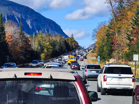 Cảnh điên cuồng săn đuổi lá mùa thu tại Mỹ