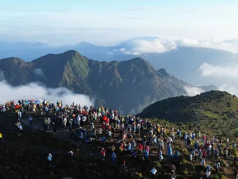 Chen chúc 'săn mây' trên đỉnh Tà Chì Nhù
