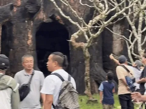 Khách Trung Quốc trả giá sau màn bắn súng cao su tại sở thú Thái Lan