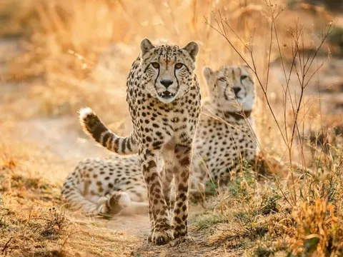 25 điểm du lịch 'đáng từng đồng' khắp thế giới năm 2025