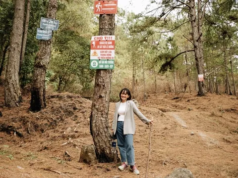 Mở lại tuyến đường trekking lên đỉnh Langbiang