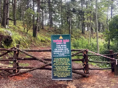Dừng tuyến đi bộ lên đỉnh Langbiang do mất an toàn