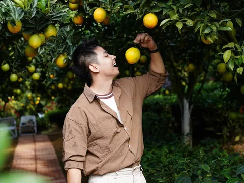 Săn ảnh 'nghìn like' tại vườn cam rốn lồi đang hot nhất Mộc Châu