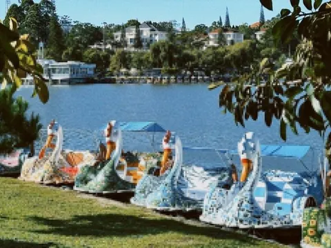 Đà Lạt dừng đạp vịt trên hồ Xuân Hương