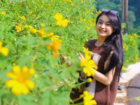 Mê mẩn check-in 'thiên đường' hoa dã quỳ ở ngoại thành Hà Nội