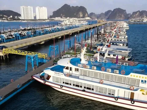 Sắp không còn tàu du lịch vỏ gỗ trên vịnh Hạ Long