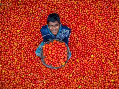 Ảnh thu hoạch nông sản phát ra tiếng cười tại Bangladesh