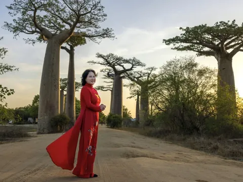 U70 Việt chi hơn 100 triệu đồng xem cây bao báp ở Madagascar