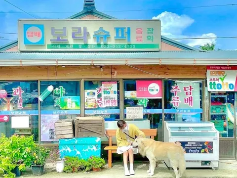 Khách đổ xô đến Hàn Quốc xem nơi ở của BTS