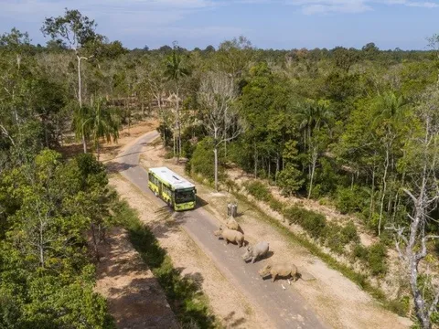 Vinpearl Safari Phú Quốc vào top đầu vườn thú và thủy cung châu Á
