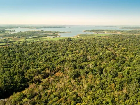 Ngắm chim, thú trong rừng Mã Đà ở Đồng Nai