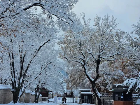 Khách Việt phấn khích với tuyết đầu mùa ở Seoul