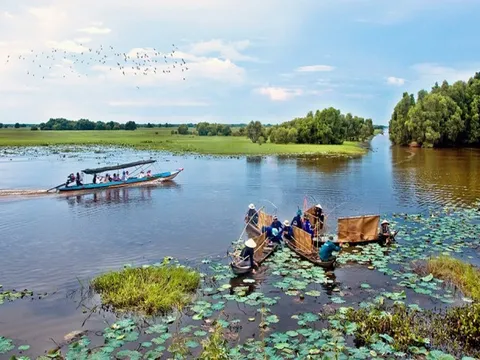 Mô hình du lịch sinh thái tại Đồng Tháp