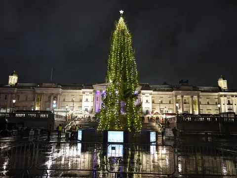 Cây thông Noel ở Anh gây thất vọng vì xấu 'như lõi ngô'