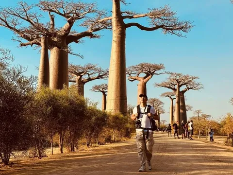 Tôi đến rừng 'cây lộn ngược' ở Madagascar